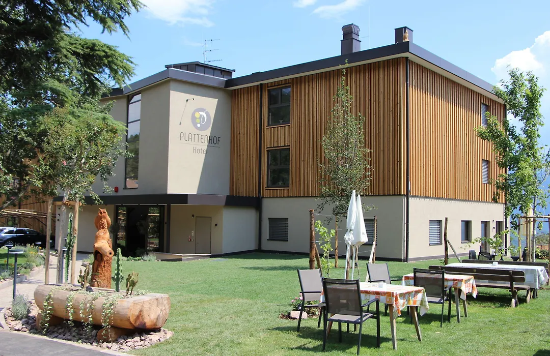 Hotel Plattenhof-1